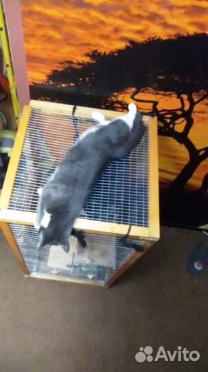 Клетка для грызунов/попугаев