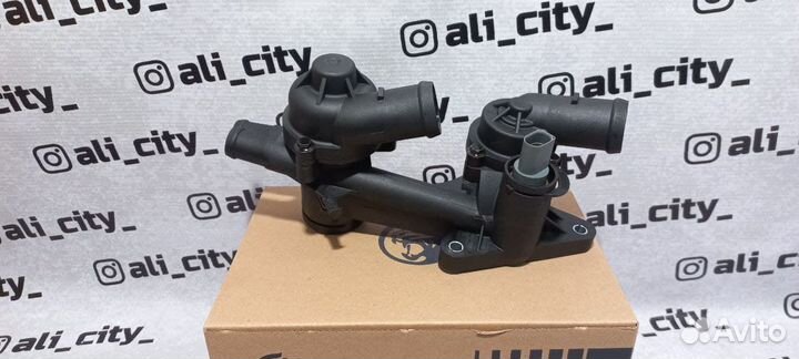 Термостаты всборе с корпусом поло Luzar