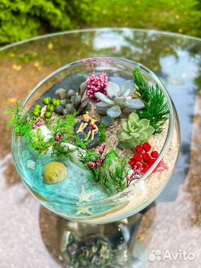 Флорариум с суккулентами