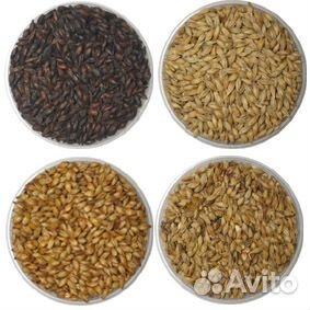 Солод для пива, виски, самогона kursk, Россия