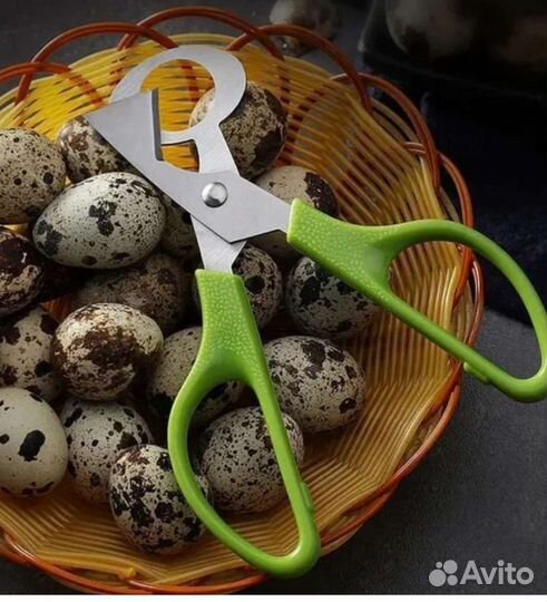 Яйца перепелиные домашние