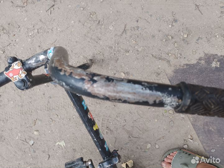 Рама велика аист