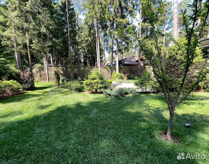 Рулонный газон / под ключ