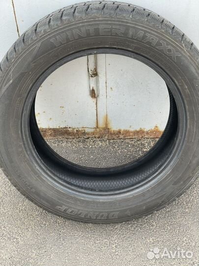 Dunlop Winter Maxx 205/55 R16
