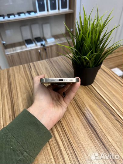 iPhone 15 Pro Max, 256 ГБ