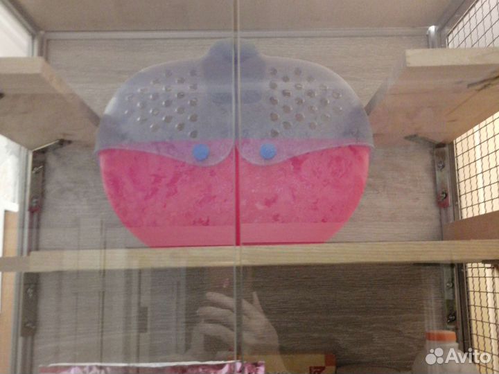 Витрина для шиншилл бу