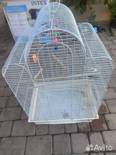 Клетка для попугая