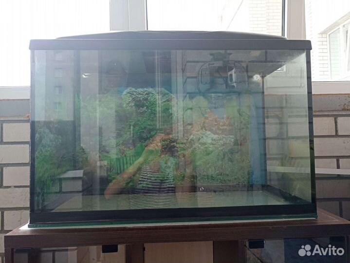 Аквариум