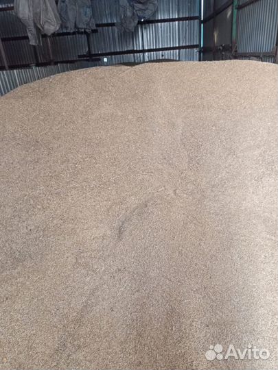 Ячмень (яровой)