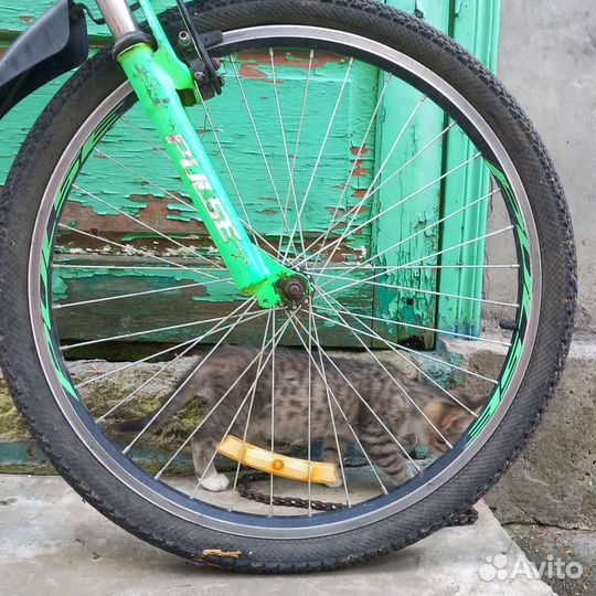 Велосипед pulse V2450 подростковый