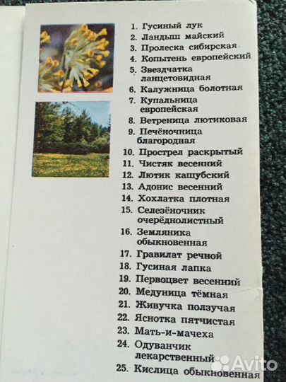 Открытки наборы Цветы-Часы, Природа, Кухня, Цветы