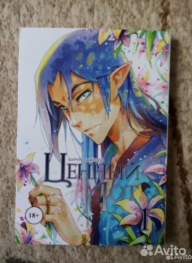 Ценный лот 1 том, Буруно Сайодо