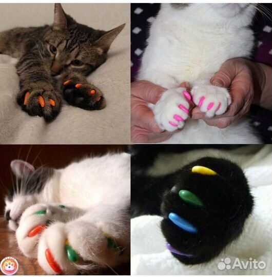 Антицарапки