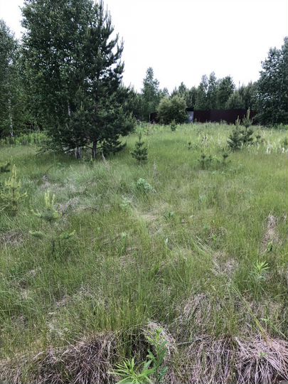 Участок 15 сот. (СНТ, ДНП)