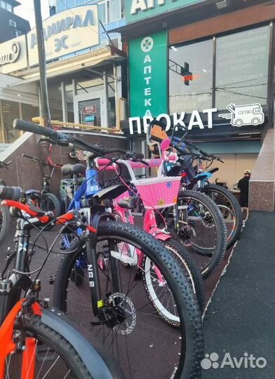 Прокат велосипедов в Сириусе