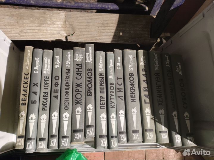 Книги из серии жзл