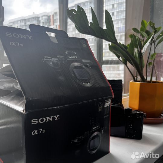 Sony alpha a7 iii