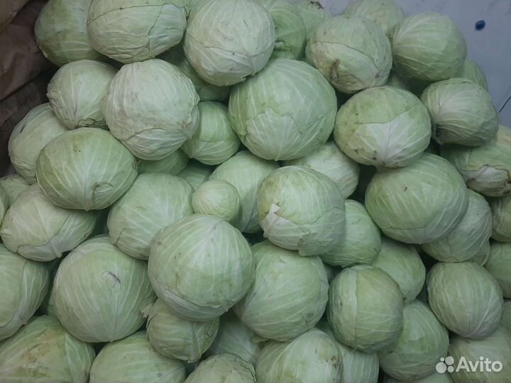 Доставка овощей