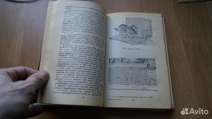2528,2 Служебное собаководство. Петрозаводск Барс