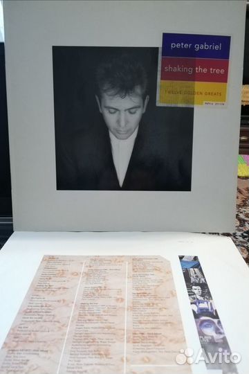 Виниловая пластинка