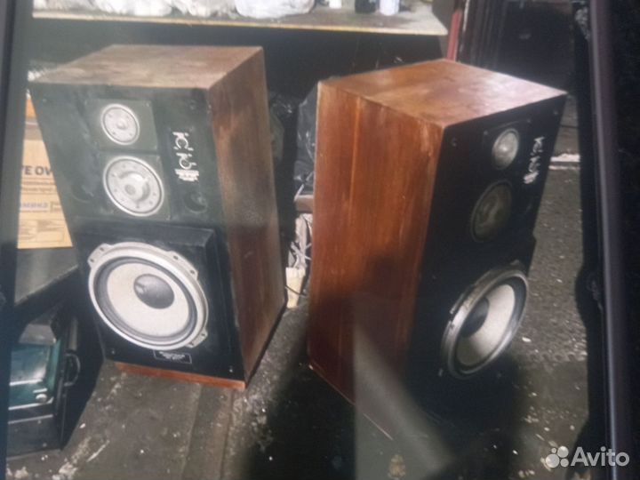 Колонки Электроника 100 ас 060