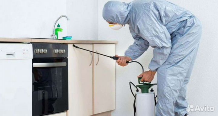 Барнаул Уничтожение Комары Мошка Клопы Тараканы