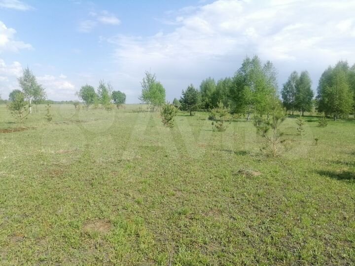 Участок 50 сот. (ИЖС)