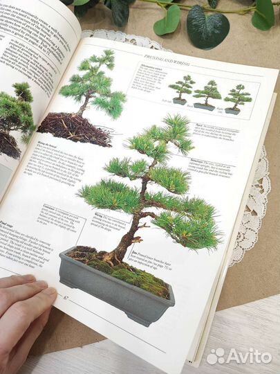 Книга про бонсай на английском языке