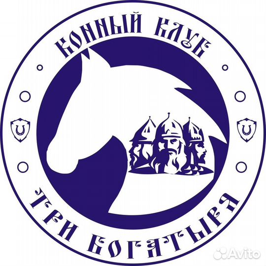 Прогулки на лошадях (остров за ингодой)