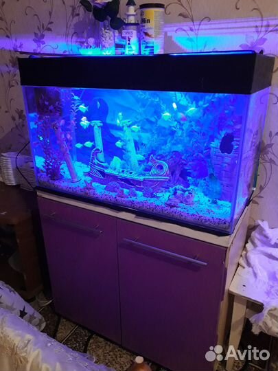 Аквариум с тумбой 150л