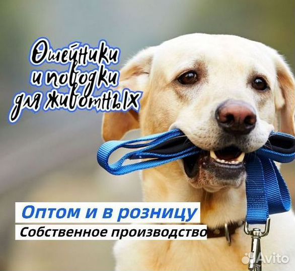 Ошейники и поводки для животных оптом и в розницу