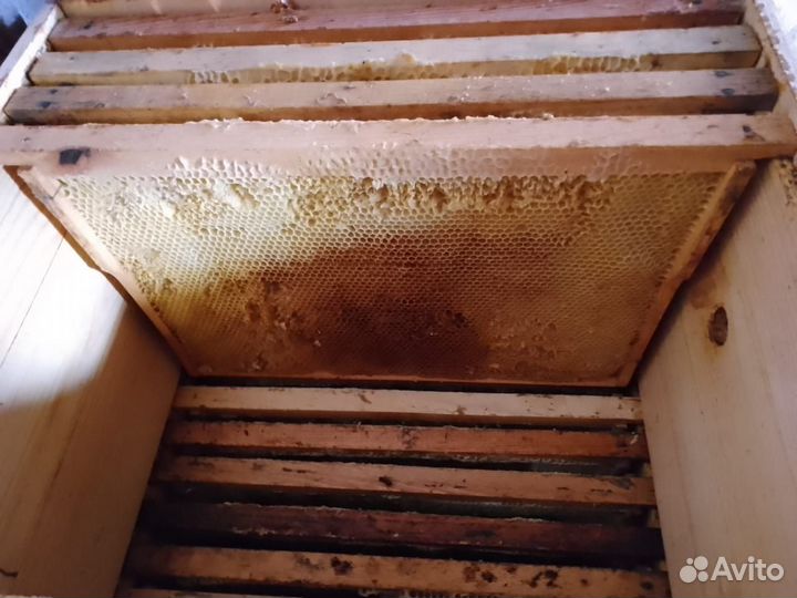 Улья, пчелоинвентарь