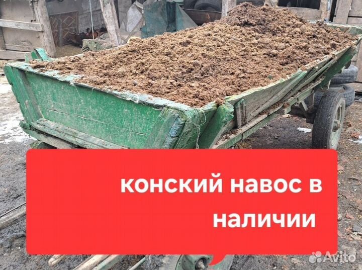 Навоз конский в мешках