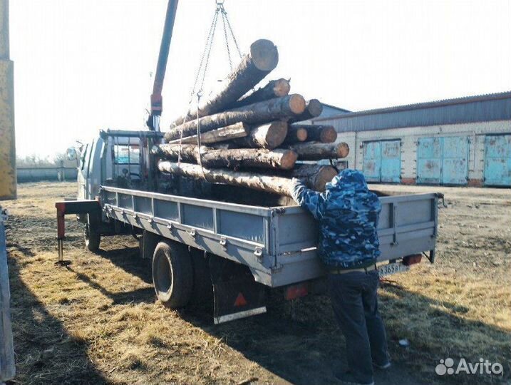 Аренда и услуги манипулятора