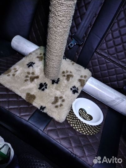 Когтеточка для кошек