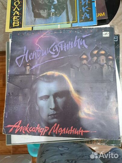 Виниловые пластинки