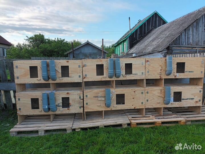 Клетки, кормушки, поилки кролики