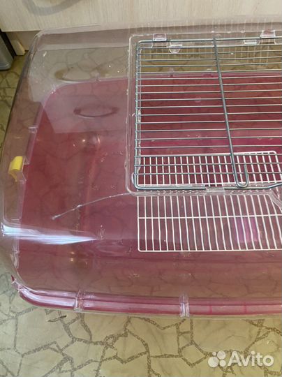 Клетка закрытая