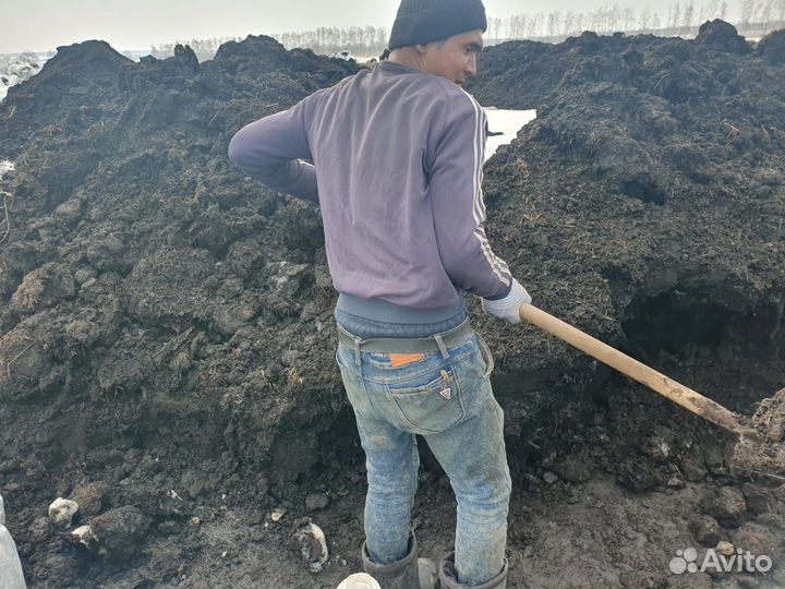 Навоз прошлогодний фасованный в мешках