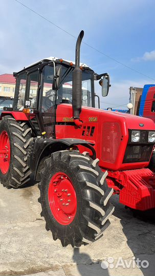 Трактор МТЗ (Беларус) 82, 2023