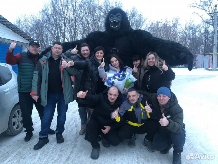 Медведь поздравление медведя,Панды кингконг