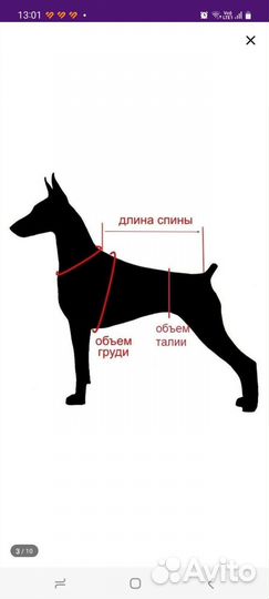 Зимний комбинезондля собаки(кобель)