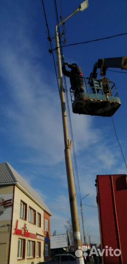 Услуги кран борт