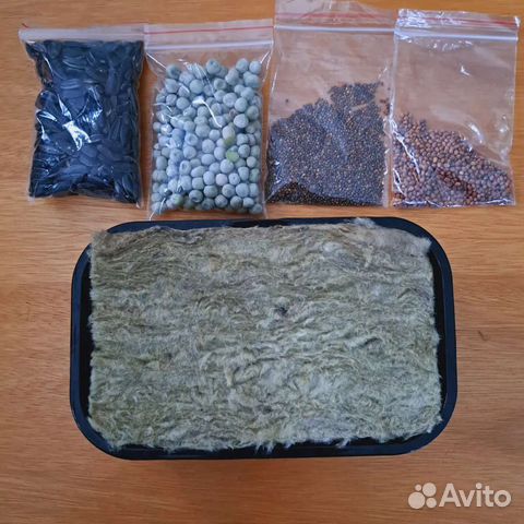 Набор для выращивания микрозелени