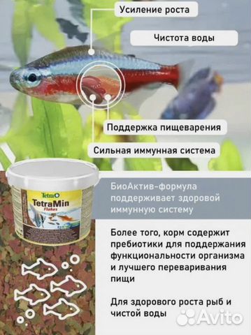 Все виды кормов для рыб купить в Воронеже  объявление продам