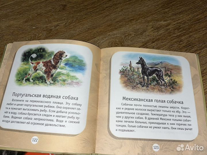 Книжки про животных