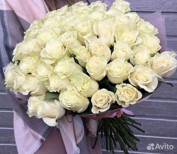 Высокие розы