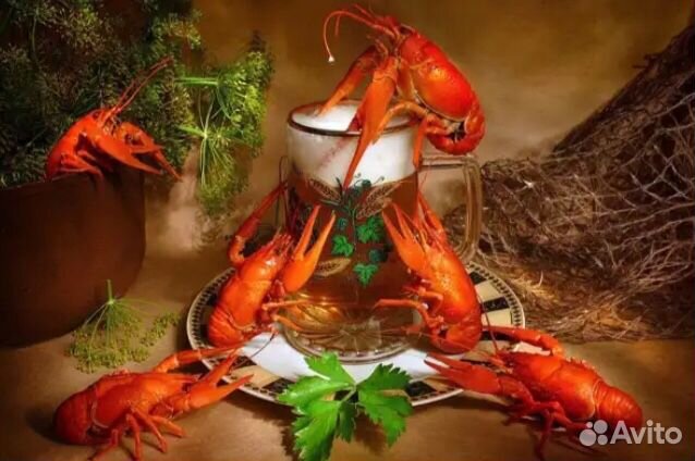 Живые раки оптом и в розницу