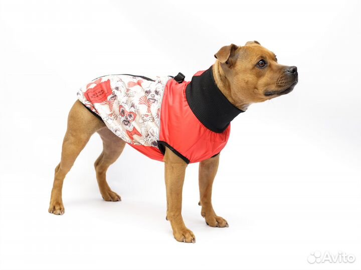 Жилетка для собак
