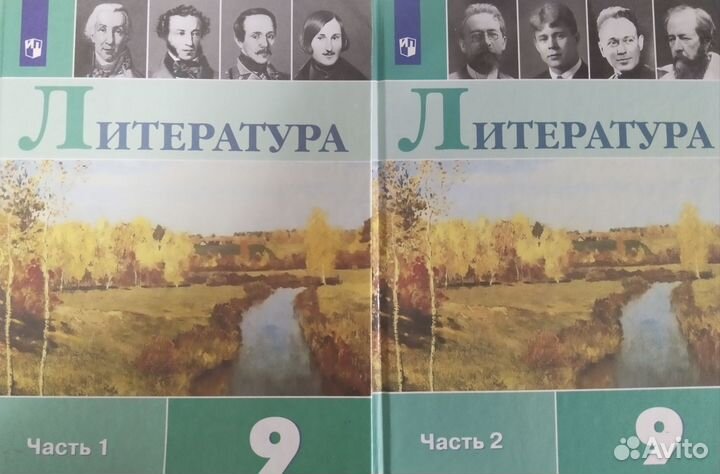 Литература 9 класс